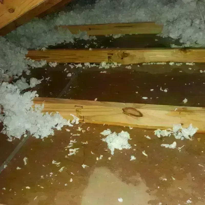 Attic Water Damage in Ferrisburgh, VT